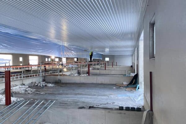 Stålplater på taket av landbruksbygg under konstruksjon i Innlandet. Byggingen inkluderer innvendige strukturer og takarbeid, som er avgjørende for landbruksprosjekter og organisering av gårdsdrift.